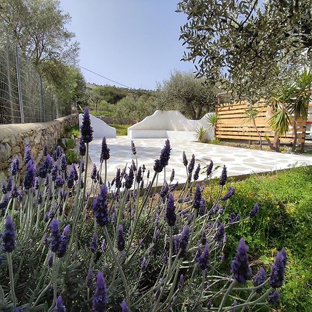 Il Canto Delle Cicale Agia Marina  Exteriér fotografie